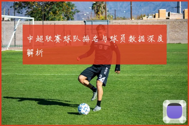 中超联赛球队排名与球员数据深度解析