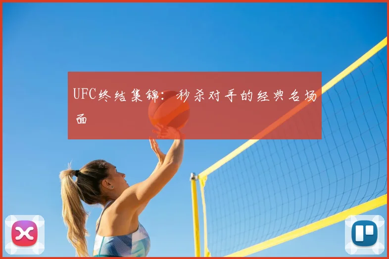 UFC终结集锦：秒杀对手的经典名场面
