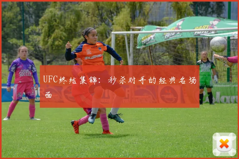 UFC终结集锦：秒杀对手的经典名场面